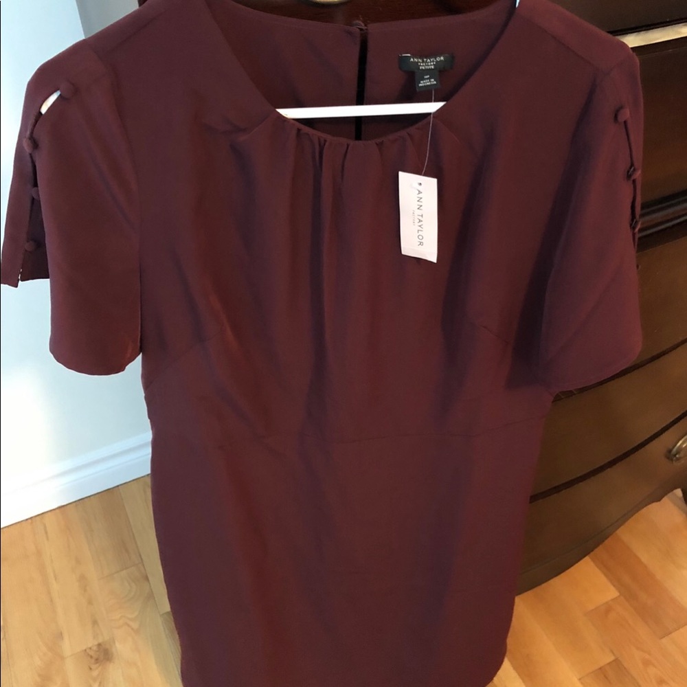 Ann Taylor Dress- new w tags